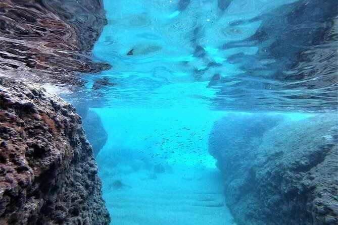 2 hours Elafiti Islands Private Tour by Barracuda 545 - Drinks and bottled water: the hidden value in the price