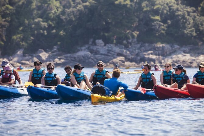 Afternoon Kayaking in Dubrovnik - Key highlights in plain terms