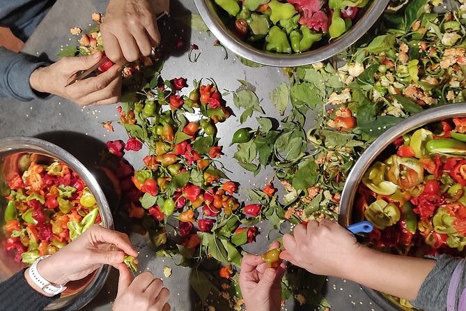 Authentic Garden to Table Cooking Class in Dubrovnik Countryside - Who Should Book This Farm-to-Table Class (and Who Might Not Love It)