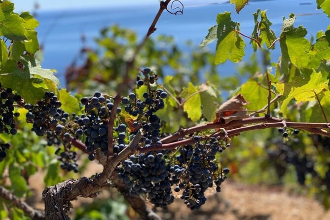 Authentic private viewpoint wine&dine tour - Small but meaningful comfort details on the day