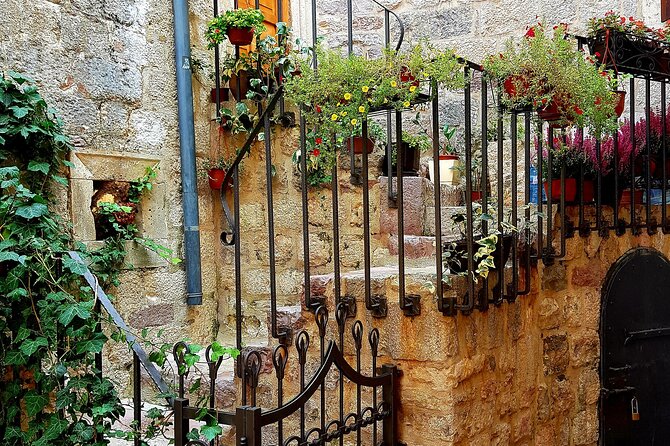 Best of Montenegro and Kotor private tour - Kotor Old Town: guided walk, then real free time