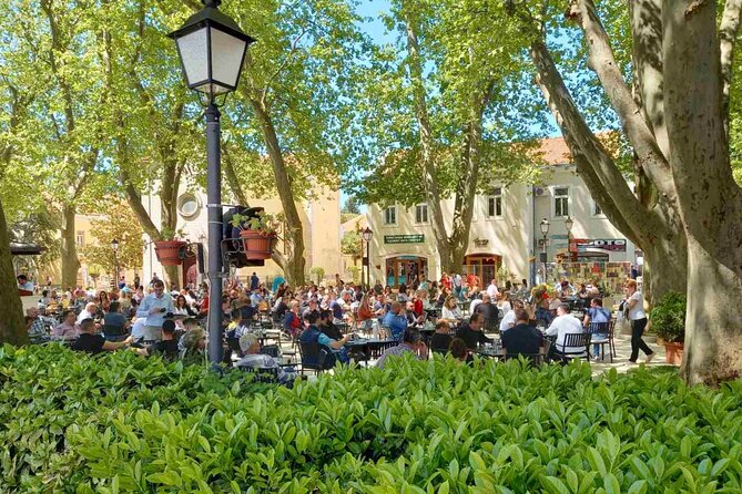 Bosnia Food and Wine Experience Tour - From Dubrovnik - Stop 3: Trebinje Drive, Optional Walks, Then a Four-Wine Meet-the-Owners Pour