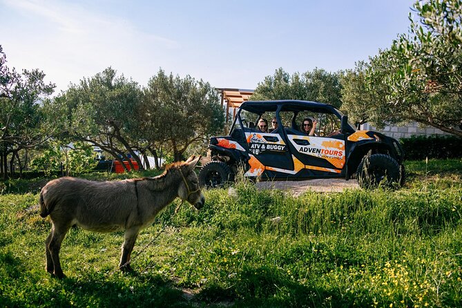 Buggy Dubrovnik Safari Tour (Private) - Dubrovnik Observation Point by buggy: the big Old Town angle