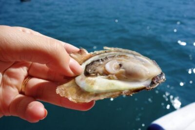 Classic Tour with Wine Tastings from Dubrovnik - Three Winery Stops on Pelješac: What You’ll Actually Learn