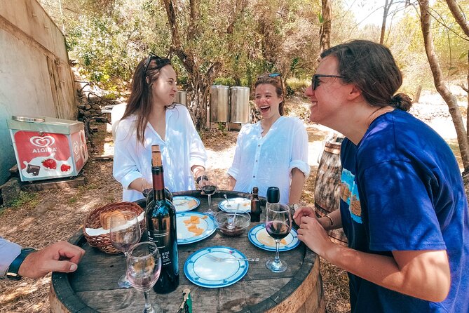 Coastal Vineyards: A Dream Wine Tour to Elaphiti Islands - Key points you’ll actually use before you go