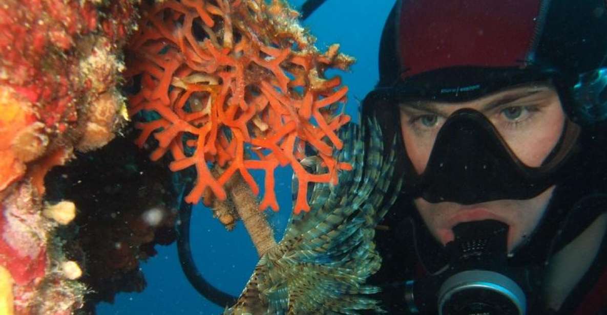 Dubrovnik: 1-Day Diving Package - Key things to know before you book