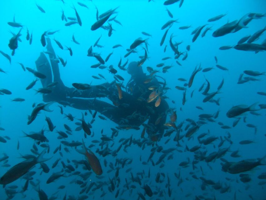Dubrovnik: 1-Day Diving Package - Meeting point: Blue Planet Diving Center inside Dubrovnik Palace