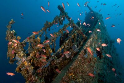 Dubrovnik: 1-Day Diving Package - The exact rhythm of your day (morning to afternoon)