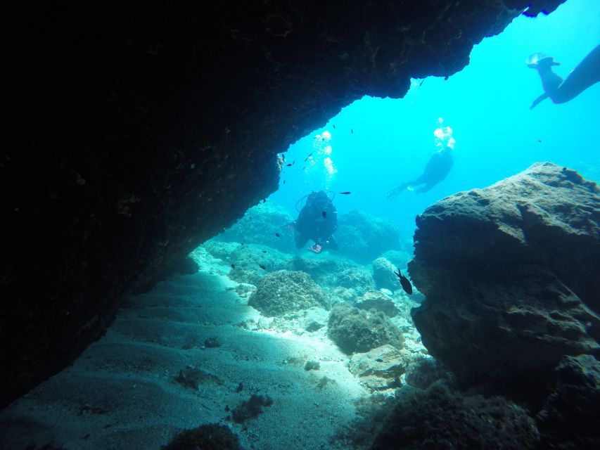 Dubrovnik: 1-Day Diving Package - Two dives, but with smart variation in site types