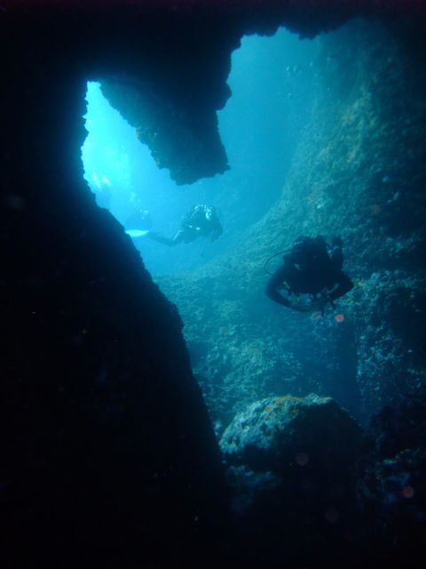 Dubrovnik: 1-Day Diving Package - What the guide/instructor setup means for you