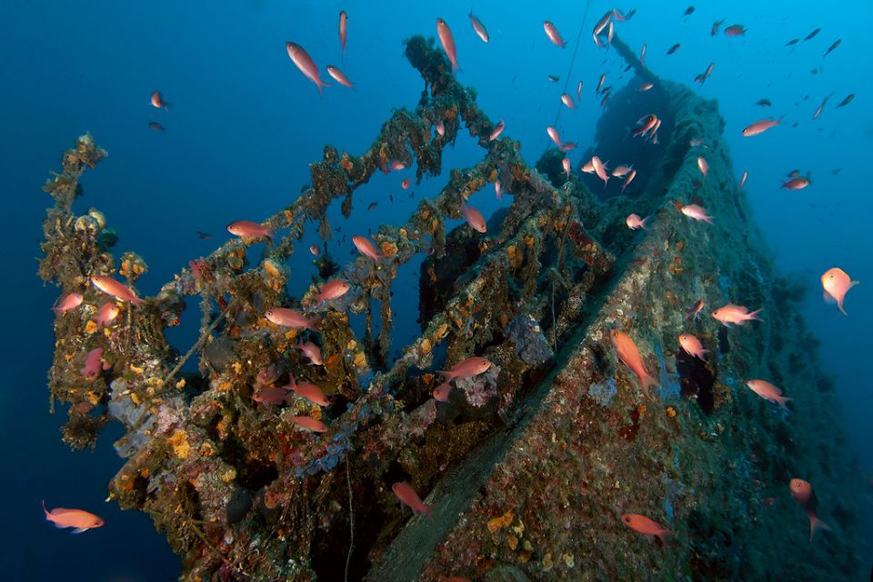 Dubrovnik: 1-Day Diving Package - The exact rhythm of your day (morning to afternoon)