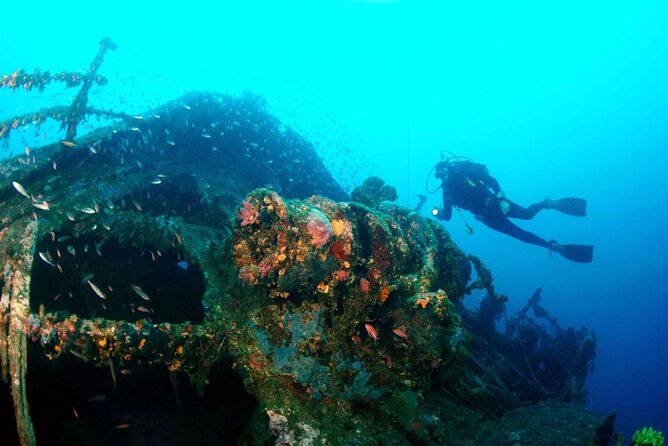 Dubrovnik 1 Dive for Certified Divers - The underwater experience you’re signing up for