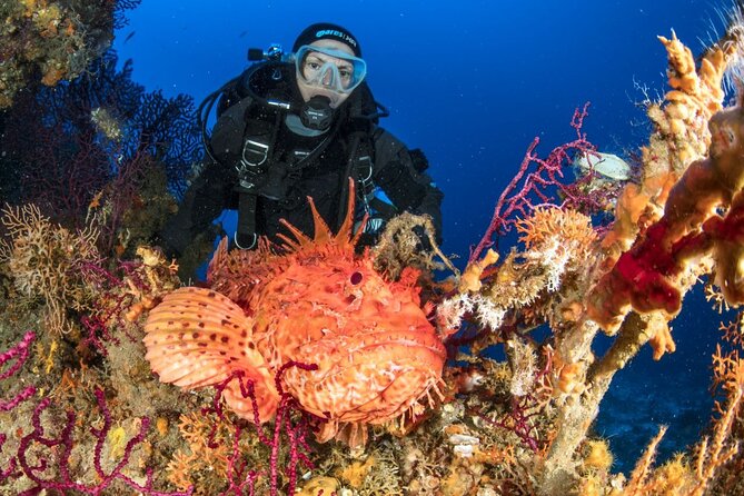 Dubrovnik 1 Dive for Certified Divers - How the guide chooses your underwater location