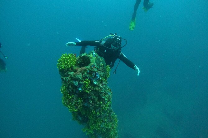 Dubrovnik 1 Dive for Certified Divers - Safety pace that still feels fun