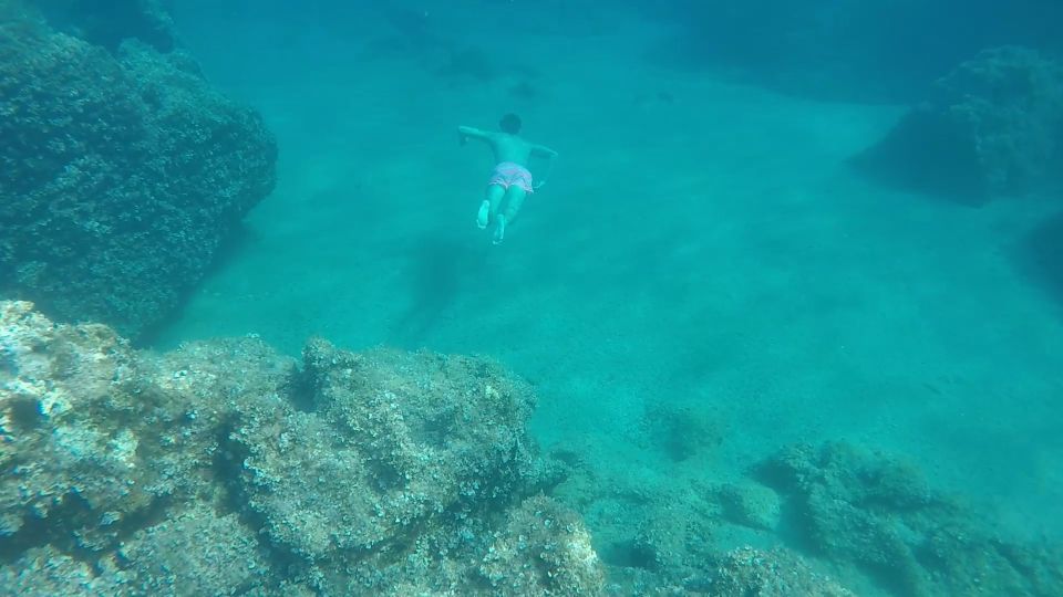 Dubrovnik: All-inclusive Islands and Caves Private Boat Tour - Šipan and Suđurađ: Bigger Island Energy, Another Village Feel