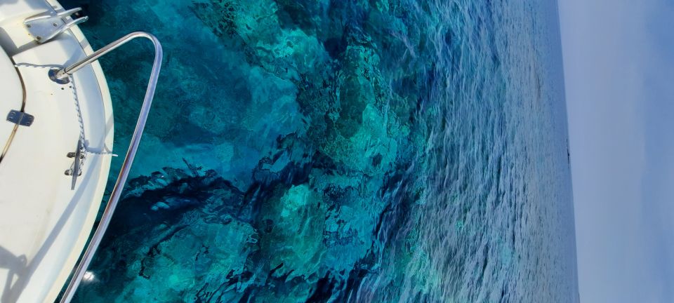 Dubrovnik: Blue Cave Tour by Speedboat - A Speedboat Day Around Kolocep: The Real Appeal