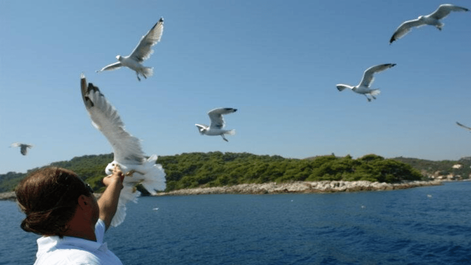 Dubrovnik: Elaphiti Islands Boat Cruise with Lunch & Drinks - Unlimited drinks, crew check-ins, and what to drink