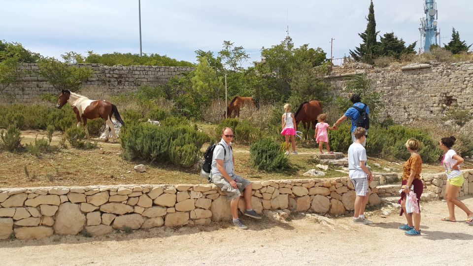 Dubrovnik: Game of Thrones Locations Driving Tour - Trsteno Arboretum: Real King’s Landing Garden Paths (and the Details You’ll Spot)