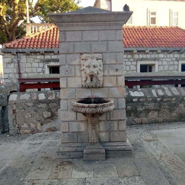 Dubrovnik: Historical Tour with Game of thrones details - The Guide Matters: Dorotea’s Style and the “Ask Questions” Vibe