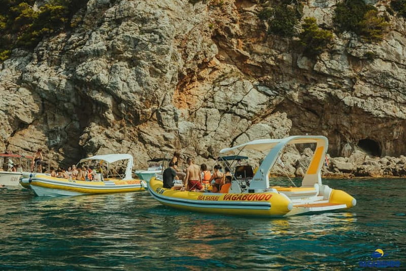 Dubrovnik: Morning Blue Cave speedboat tour with drinks - Green Caves on Koločep: three smaller stops with variety