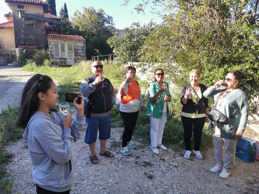 Dubrovnik: Panorama Tour with Free Time in the Old Town - What stood out most: guidance and pacing you can feel