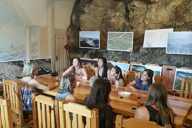 Dubrovnik & Peljesac (Ston & winery) 7-8h PRIVATE SHORE TOUR - Ston: Gothic walls, salt pans, and a slower vibe