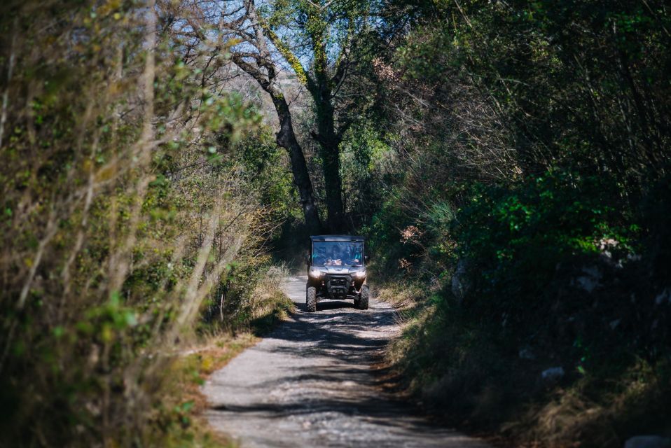 Dubrovnik: Private Panoramic Half-Day Buggy Tour with Brunch - Why a buggy half-day works so well from Dubrovnik