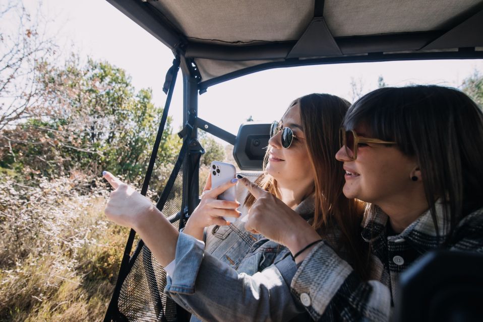Dubrovnik: Private Panoramic Half-Day Buggy Tour with Brunch - Countryhouse Ano: the olive oil tasting stop you’ll remember