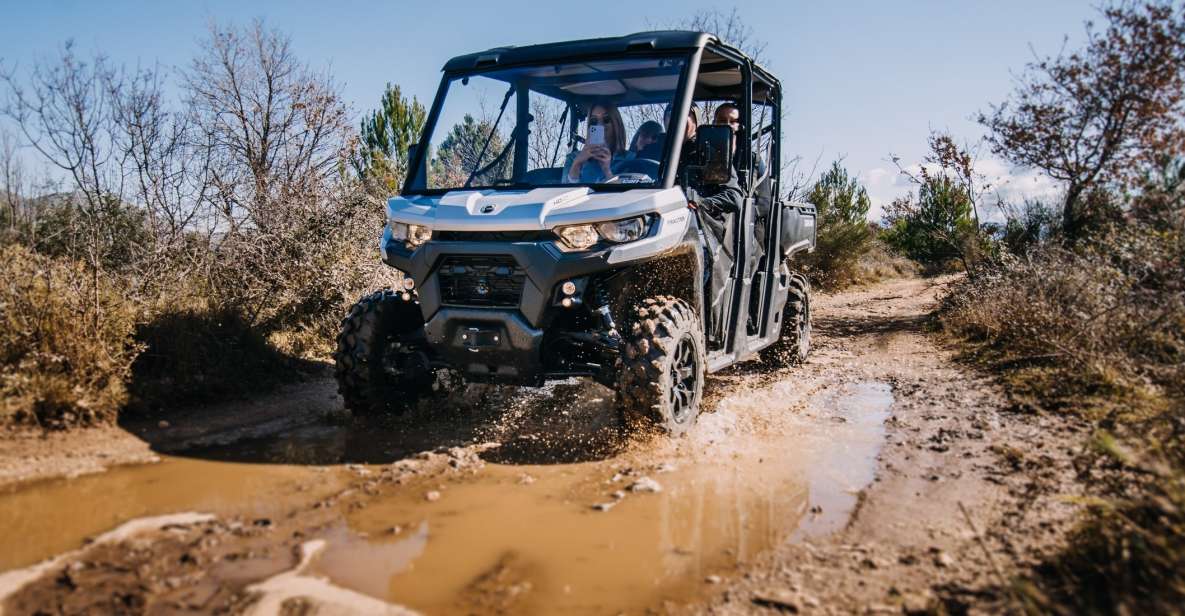 Dubrovnik: Private Panoramic Half-Day Buggy Tour with Brunch - Private tour reality check: timing, route feel, and one drawback