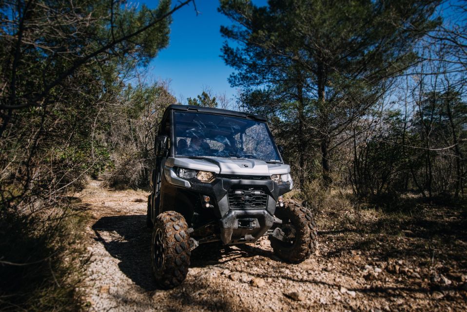 Dubrovnik: Private Panoramic Half-Day Buggy Tour with Brunch - Price and value: does $171 feel fair for what you get?