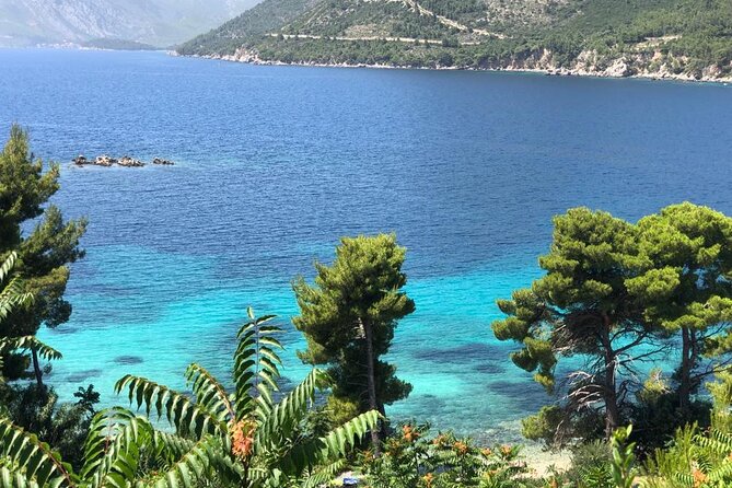 Dubrovnik Private Wine Tasting Tour to Peljesac Peninsula - Pelješac wine tastings from Dubrovnik: the value math
