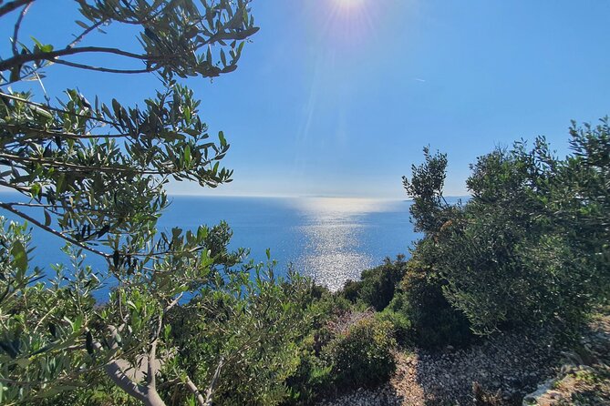 Dubrovnik Private Wine Tasting Tour to Peljesac Peninsula - Majkovi viewpoint: the 15 minutes that frames the whole peninsula