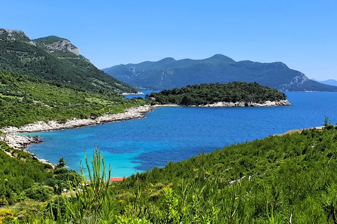 Dubrovnik Private Wine Tasting Tour to Peljesac Peninsula - Matusko Winery: big regional tastings and your lunch choice