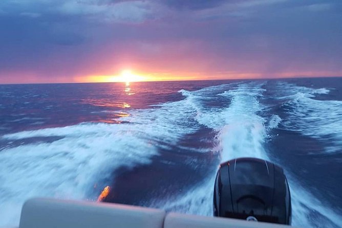 Dubrovnik Speedboat Quicksilver 675 Private Tours - What changes on the 8-hour routes: Elafiti and Mljet choices