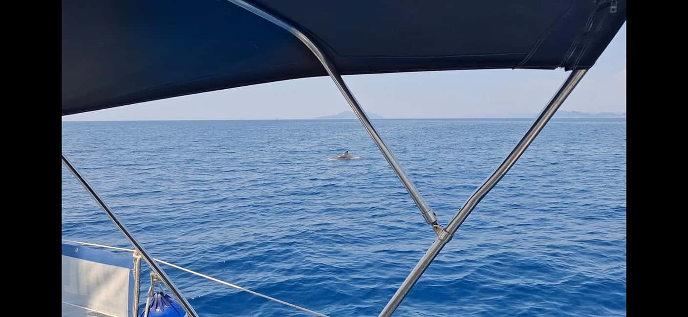 Dubrovnik yacht cruise-Elafity islands & Blue cave - Lopud food by the sea: what’s included and what to plan for