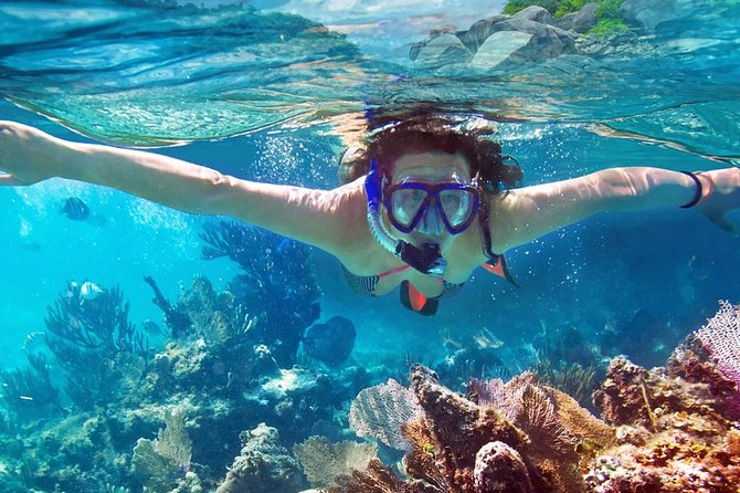 Explore the Caves and Hidden Bays with Underwater Scooter - Price and value for a private tour up to 6 people