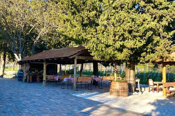 Flavours of Konavle: Wine, Food & Village Life Experience - Winery Botaro: Konavle wine and liqueurs you can actually taste