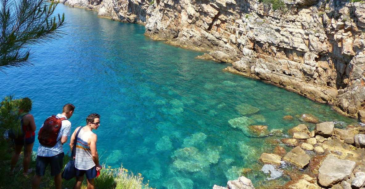 From Dubrovnik: Hiking & Swimming on Koločep Island Day Trip - Key Highlights You Should Care About
