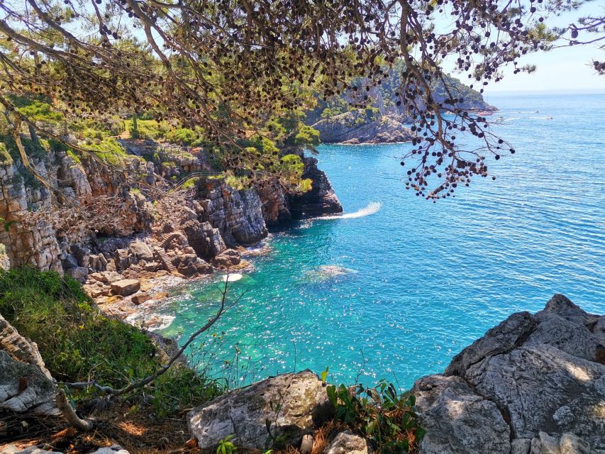 From Dubrovnik: Hiking & Swimming on Koločep Island Day Trip - Should You Book the Kolocep Hiking & Swimming Day Trip?