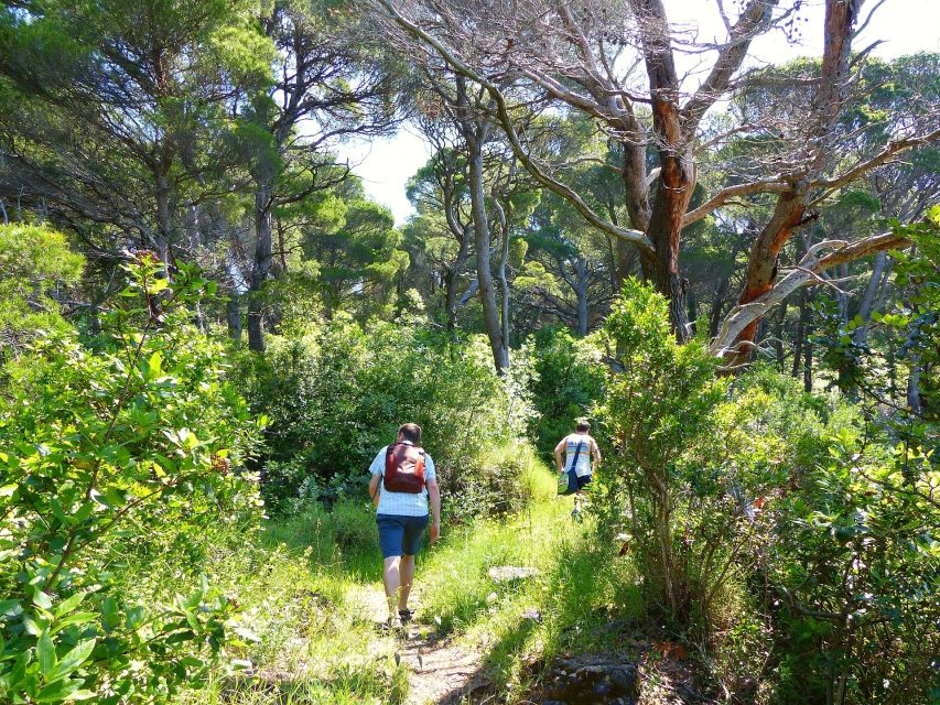 From Dubrovnik: Hiking & Swimming on Koločep Island Day Trip - What to Bring: The Day Trip Essentials That Actually Matter