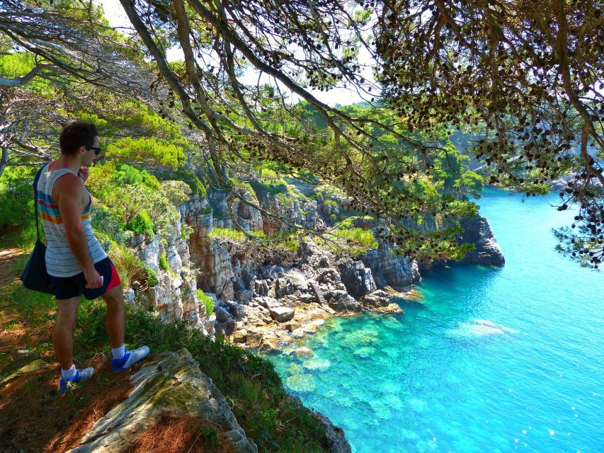 From Dubrovnik: Hiking & Swimming on Koločep Island Day Trip - Who This Tour Fits Best (and Who Should Skip It)