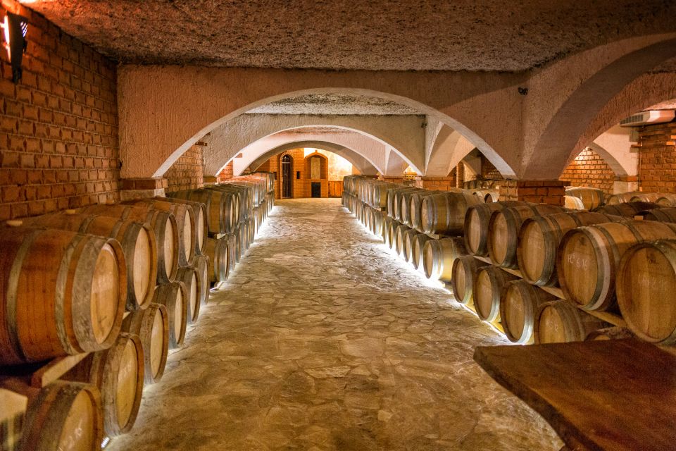 From Dubrovnik: Island of Korčula with wine tasting - Who this tour fits best (and who might want a different plan)