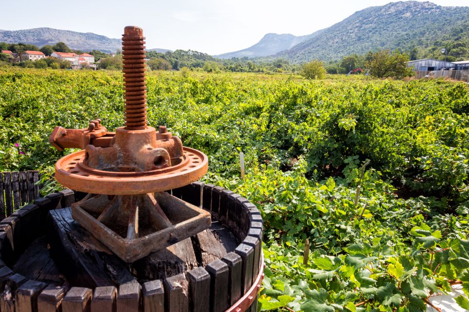 From Dubrovnik: Island of Korčula with wine tasting - How the Ston–Korčula day trip actually plays out