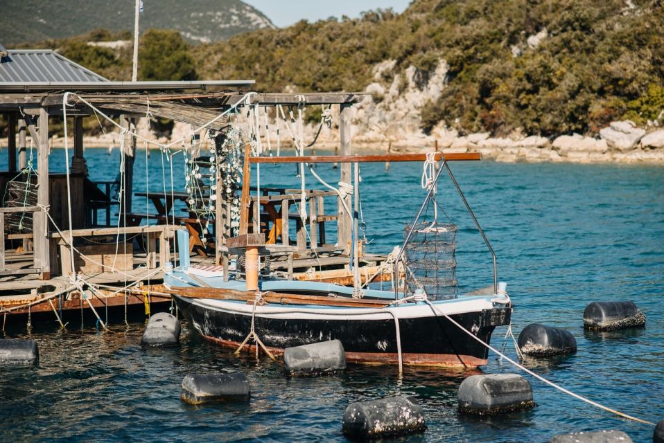 From Dubrovnik: Mali Ston Oyster Paradise Tour with Transfer - Guides that actually shape the day: the people behind the tasting