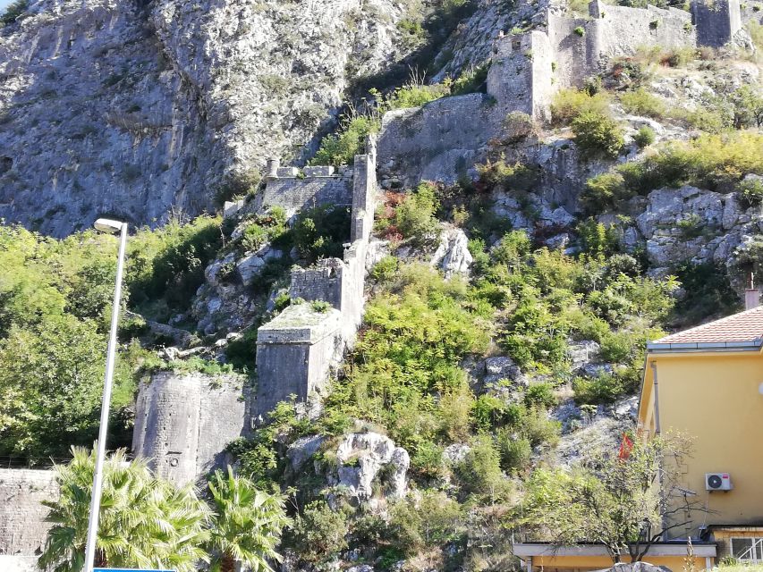 From Dubrovnik: Montenegro, Kotor City Tour - Price and Value: Is $81 Fair for This Route?