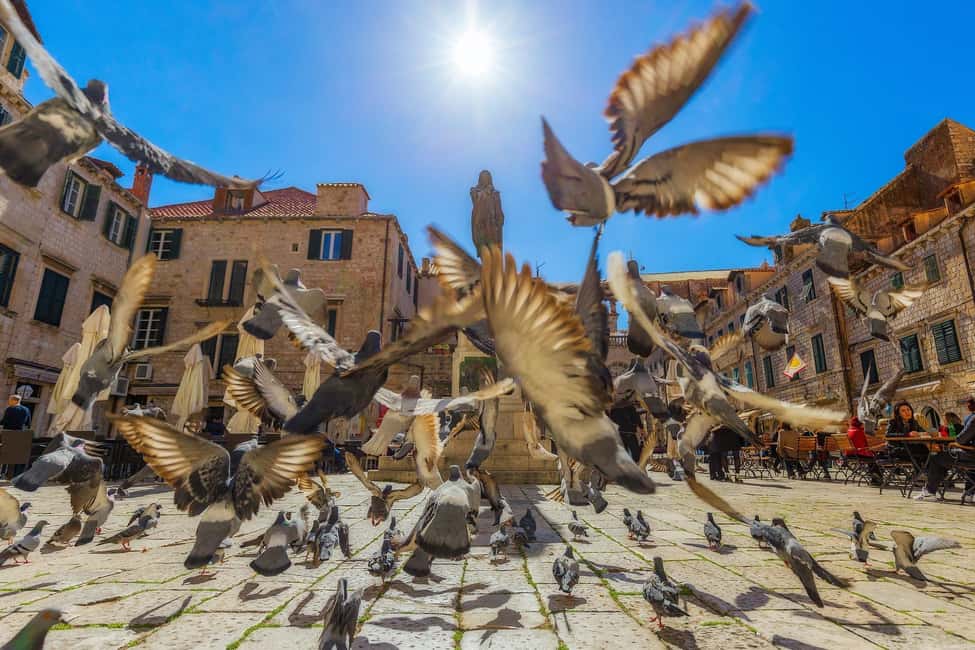 From Makarska : Dubrovnik Guided Tour & Free Time - Photo stops along the Adriatic coast