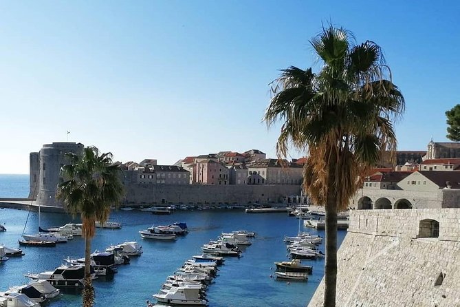 Guided Tour to discover Dubrovnik's Old Town, by day or night - Quick Highlights You’ll Actually Use
