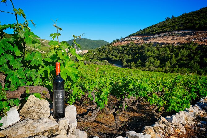 Half Day Tour - Deep and Dark Red Wine of Pelješac - Transportation and pace: what the 3–4 hours really mean