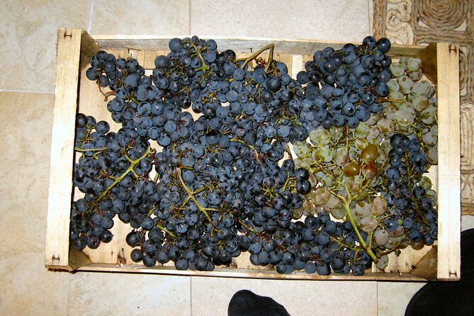 Half Day Tour - Deep and Dark Red Wine of Pelješac - Price and value: is $177.52 worth it?
