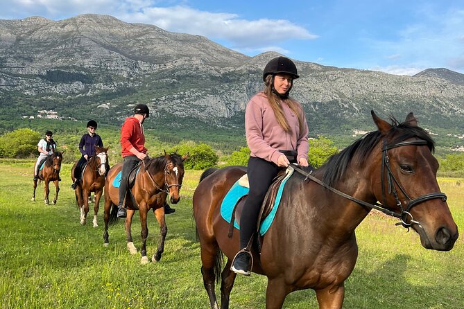 Horseback Riding Experience with transport from Dubrovnik - Key highlights before you go